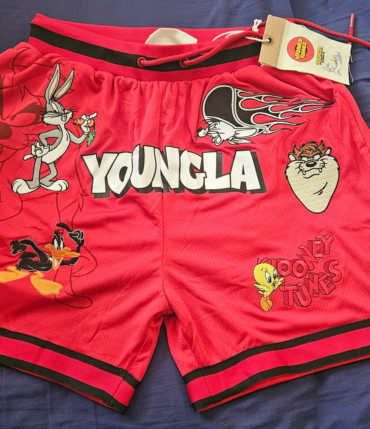 Customer photo review of 1071 - Looney Tunes Embroidered Patch Shorts