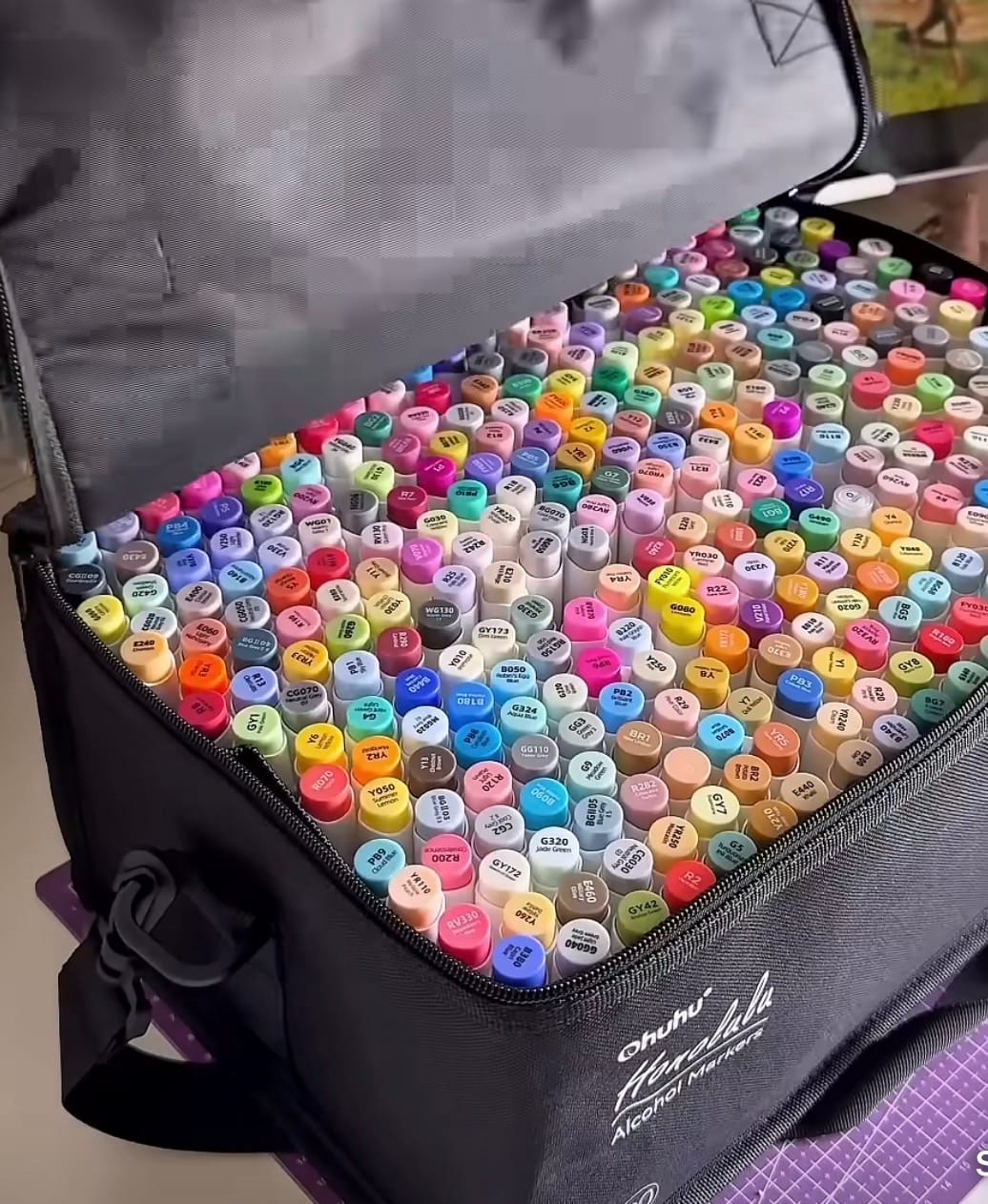 Customer photo review of Ohuhu Honolulu 216 Colors Dual Tips Alcohol Art Markers (New Color Codes)