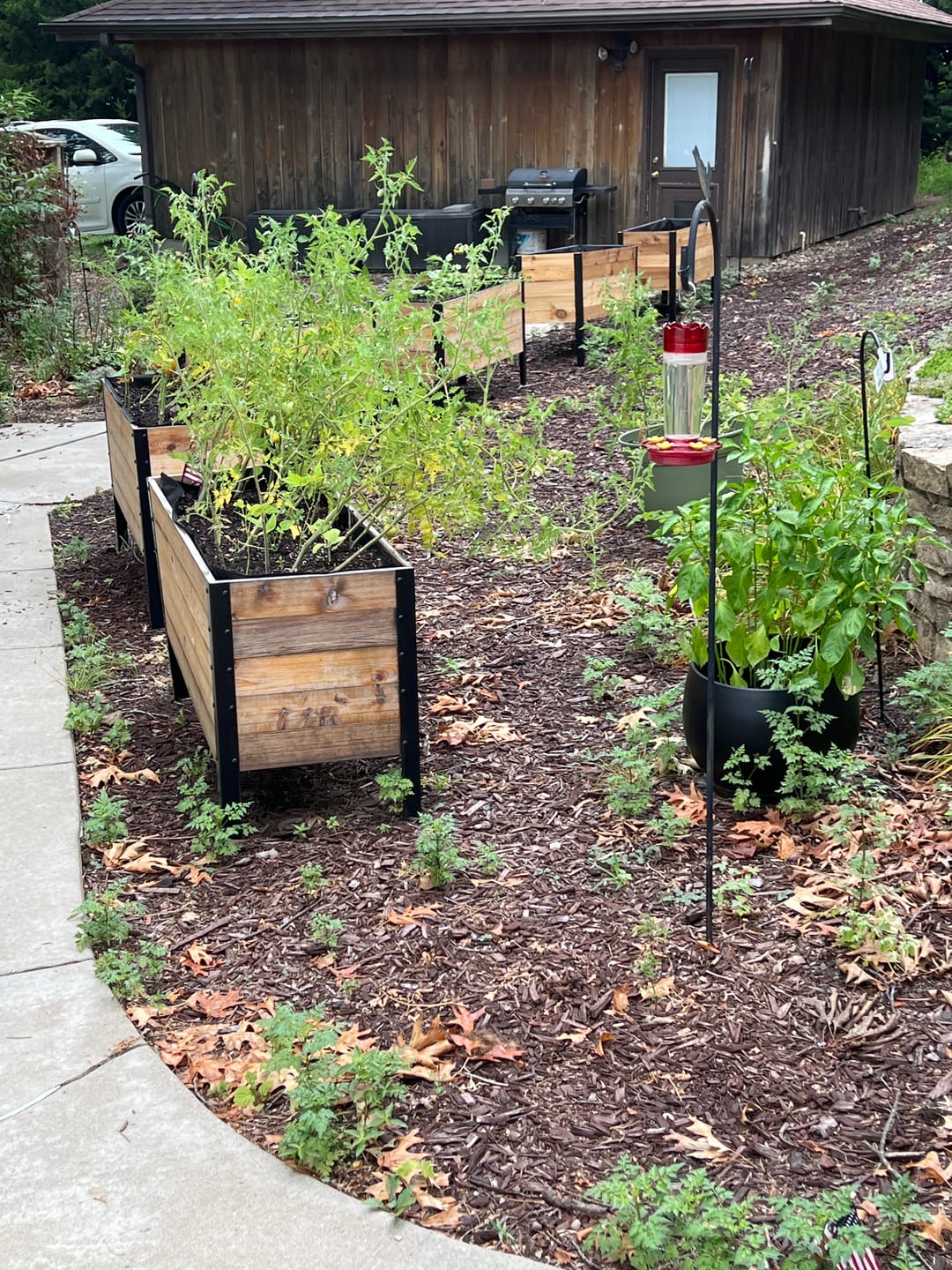 Customer photo review of 18″ x 48″ Deep Root Raised Garden Bed - 30″ TALL / Garden Grade