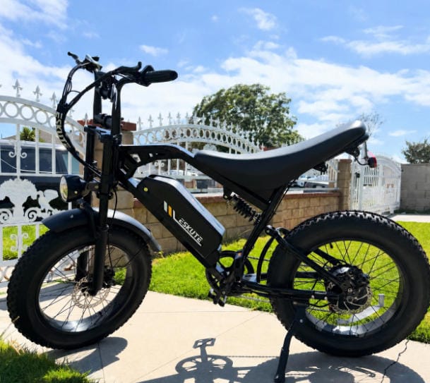 Customer photo review of Eskute V202 Retro E-Bike
