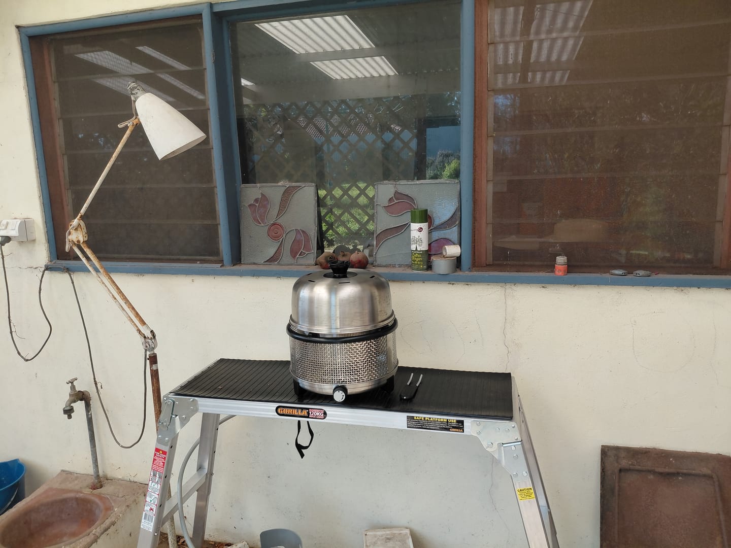 Customer photo review of COBB Grill Gas+ Bundle (LPG)