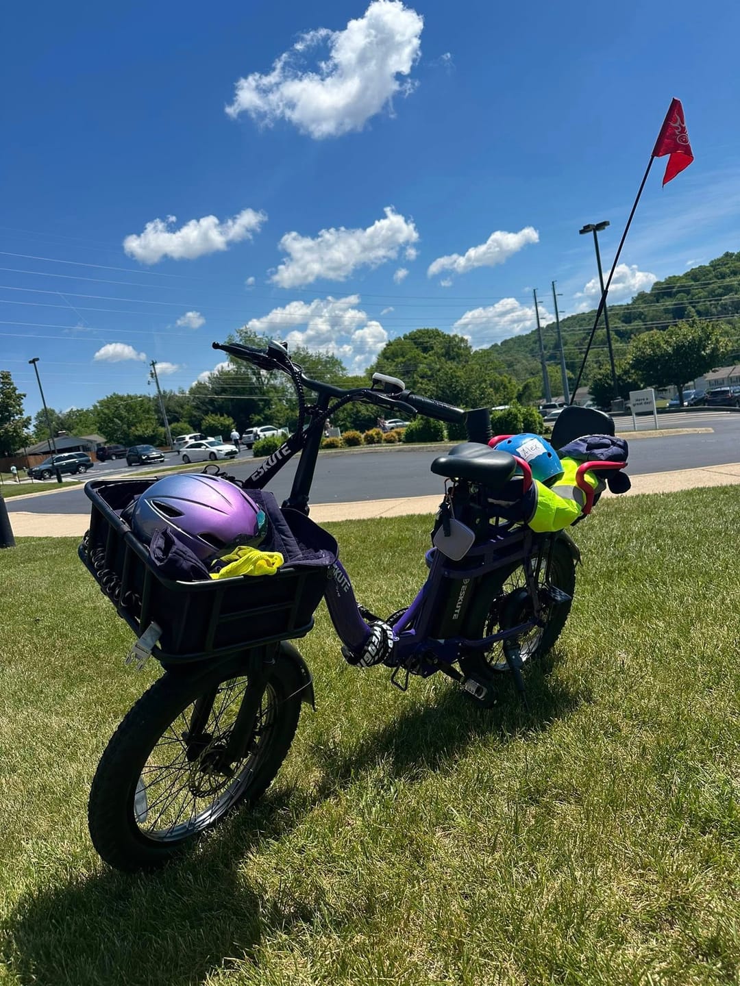Customer photo review of Eskute D202 Folding-E-Bike