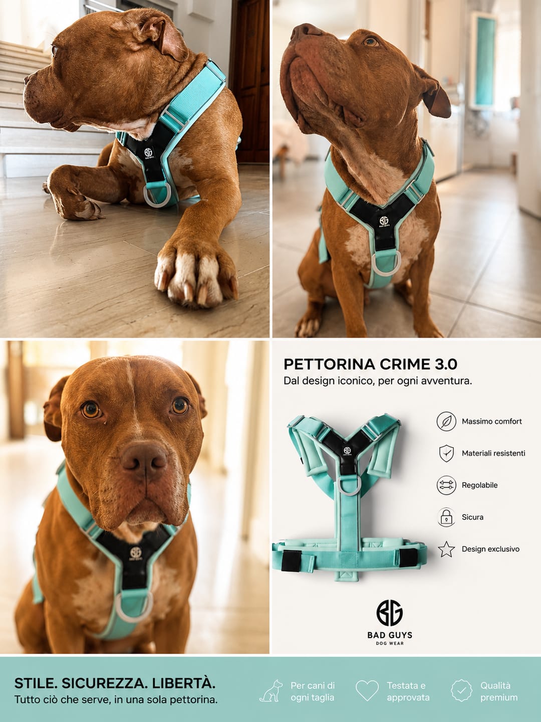 Customer photo review of Pettorina Crime 3.0