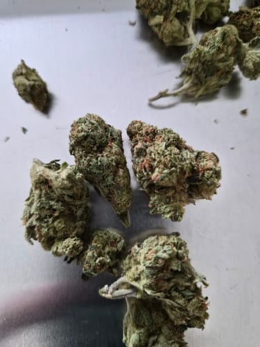 Gas Face - Bulk - (Indica) photo review