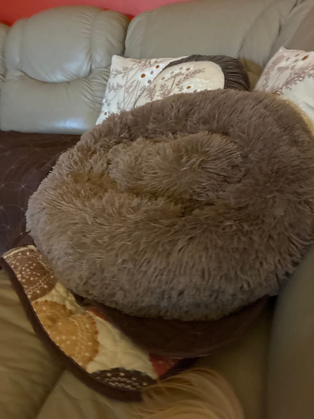 Customer photo review of The Original Fluffy Bean® Pet Bed