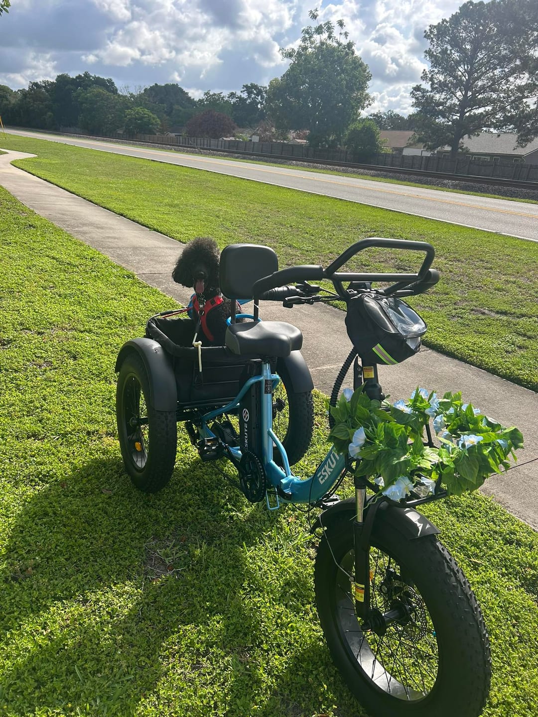 Customer photo review of Eskute T302 Pro Cargo E-Bike