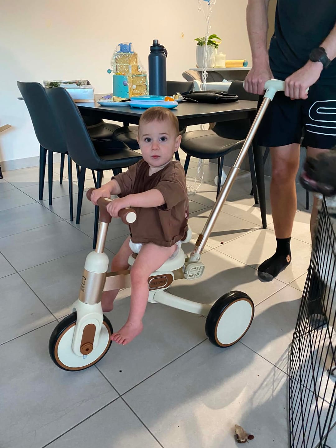 Customer photo review of Toddler Push Trike with Parent Handle 5-in-1 Kids Trike Balance Bike
