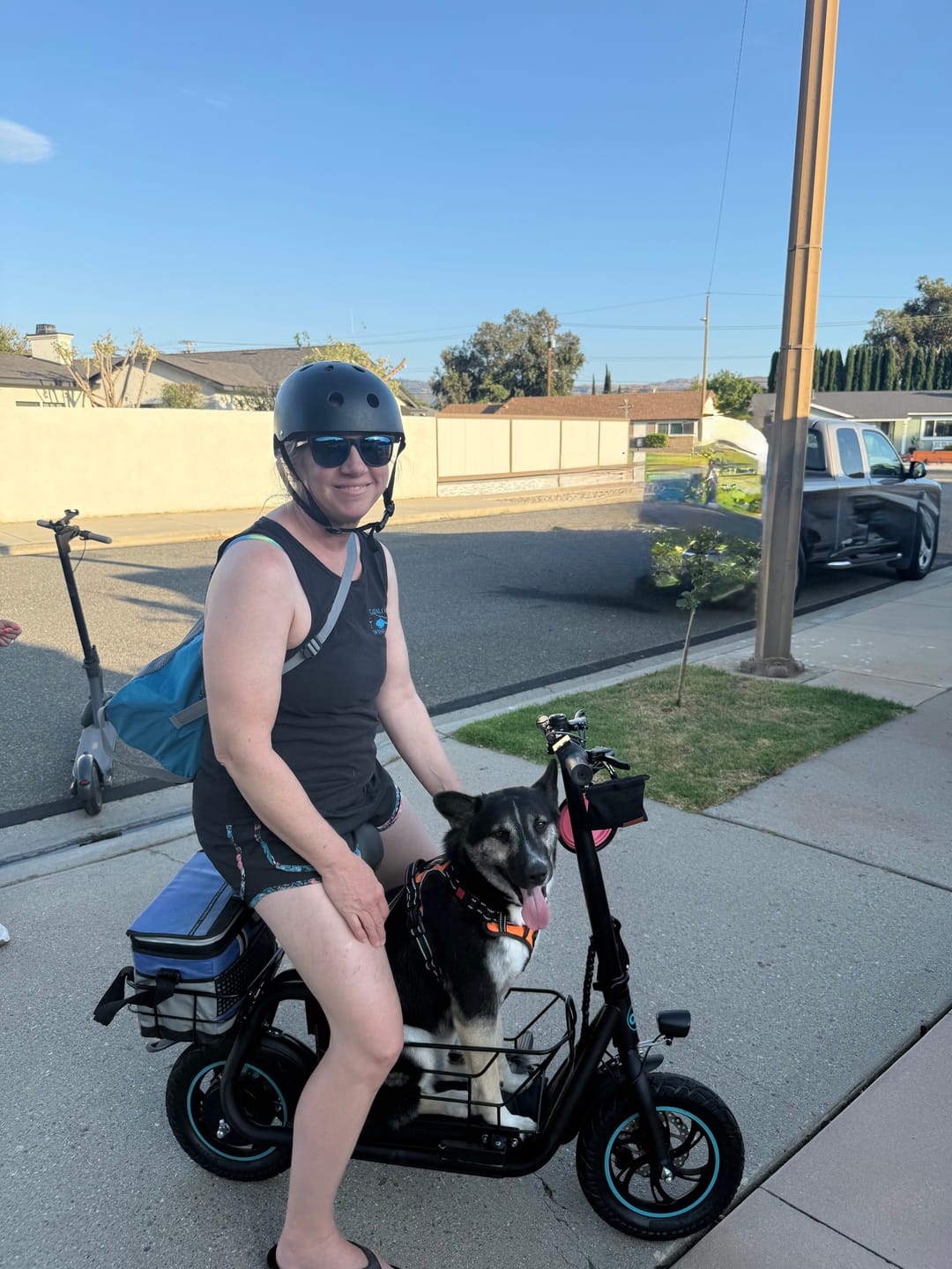 Customer photo review of Gyroor 800W Electric Scooter with Large Basket for Pets & Cargo