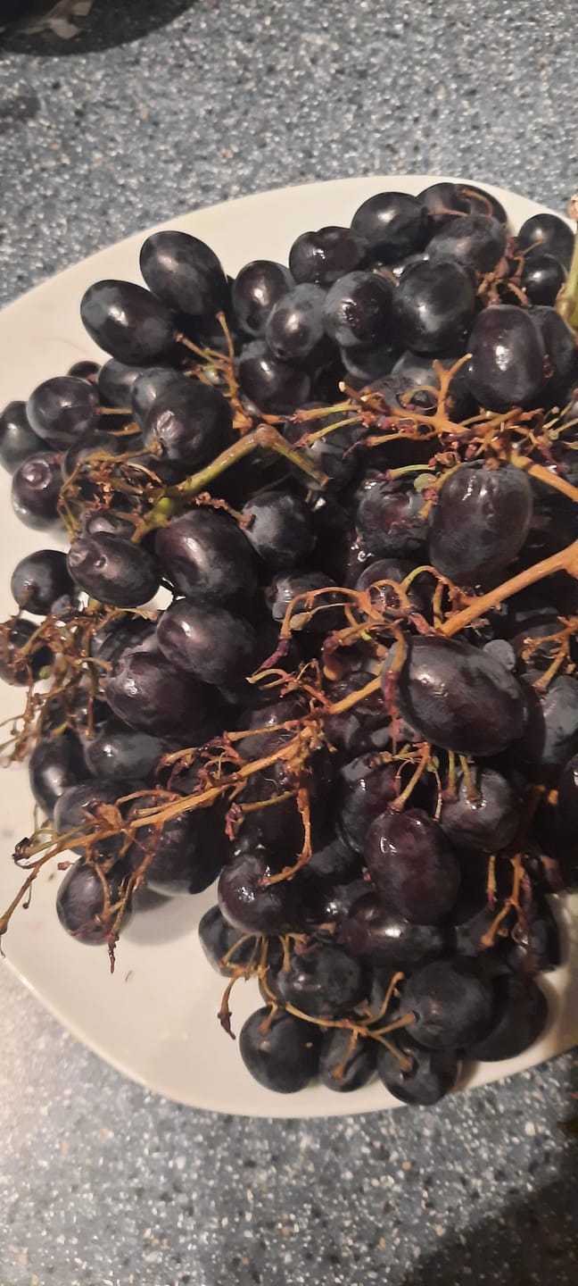 Customer photo review of Trauben Mix mit Kern Bio von Elisa aus Sizilien