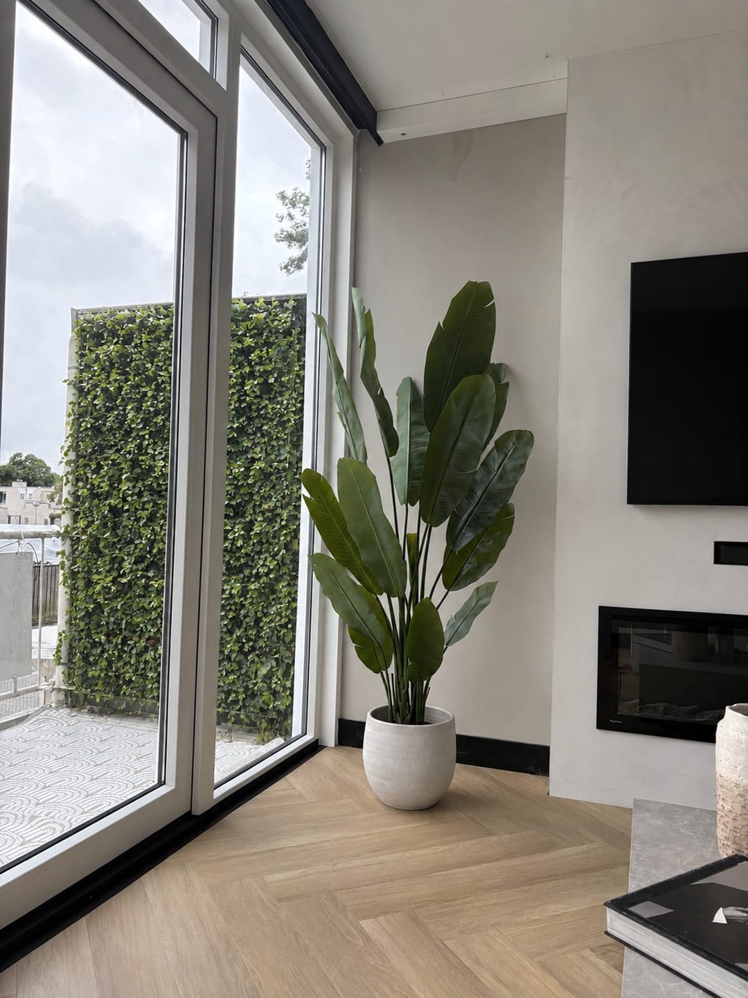 Customer photo review of Strelitzia Kunstplant 180cm Deluxe