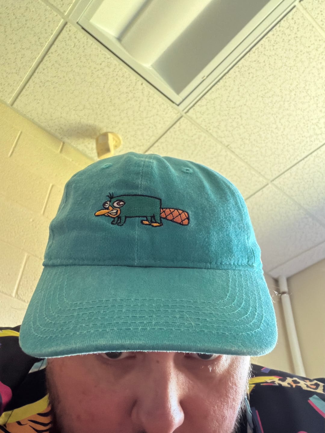 Customer photo review of Disney’s Phineas and Ferb "Semi-Aquatic Egg-Laying Mammal of Action" – Dad Hat