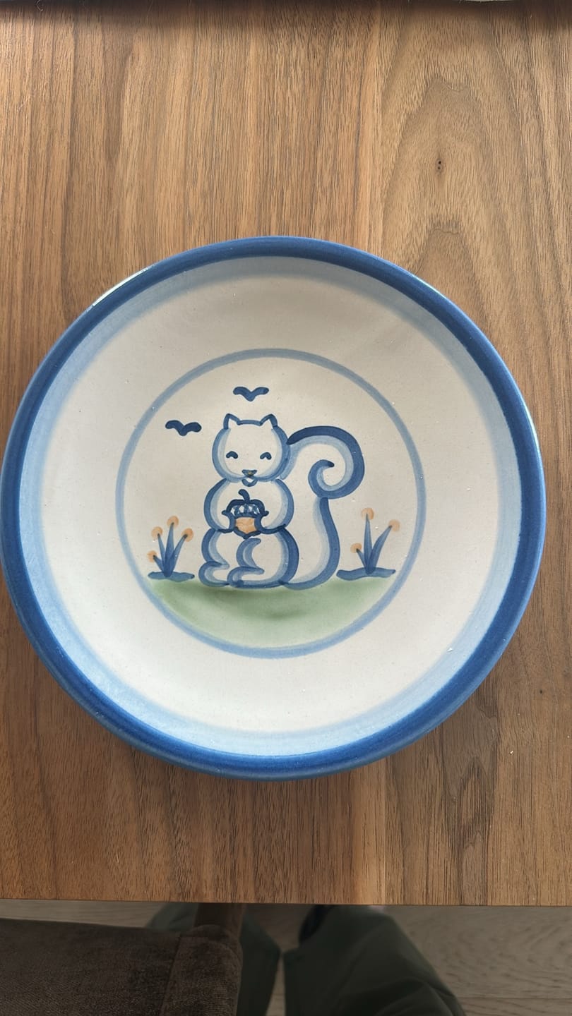 Customer photo review of Woodland Squirrel