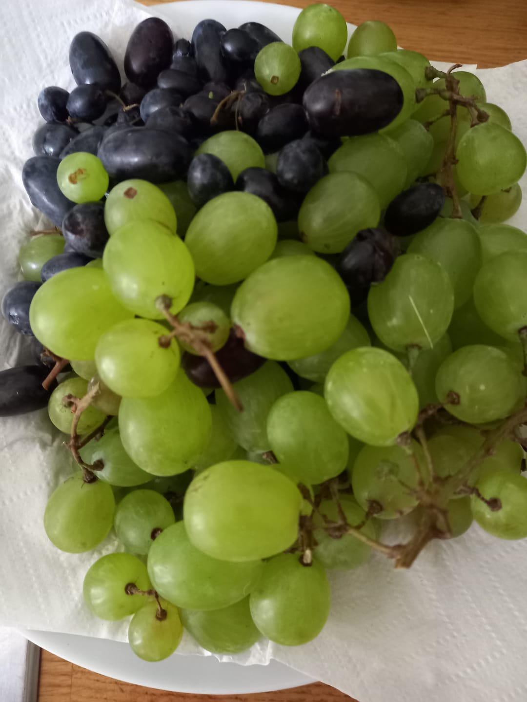 Customer photo review of Trauben Mix mit Kern Bio von Elisa aus Sizilien