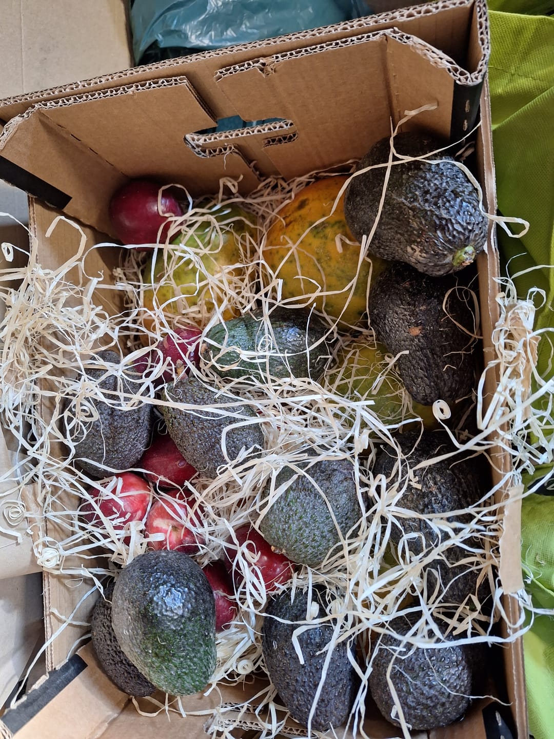 Customer photo review of Avocado Hass & Lamb Hass 15 Monate baumgereift von Julian
