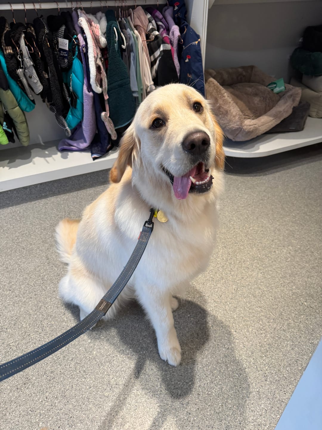 Customer photo review of Bugsy's Air-Dried Kangaroo