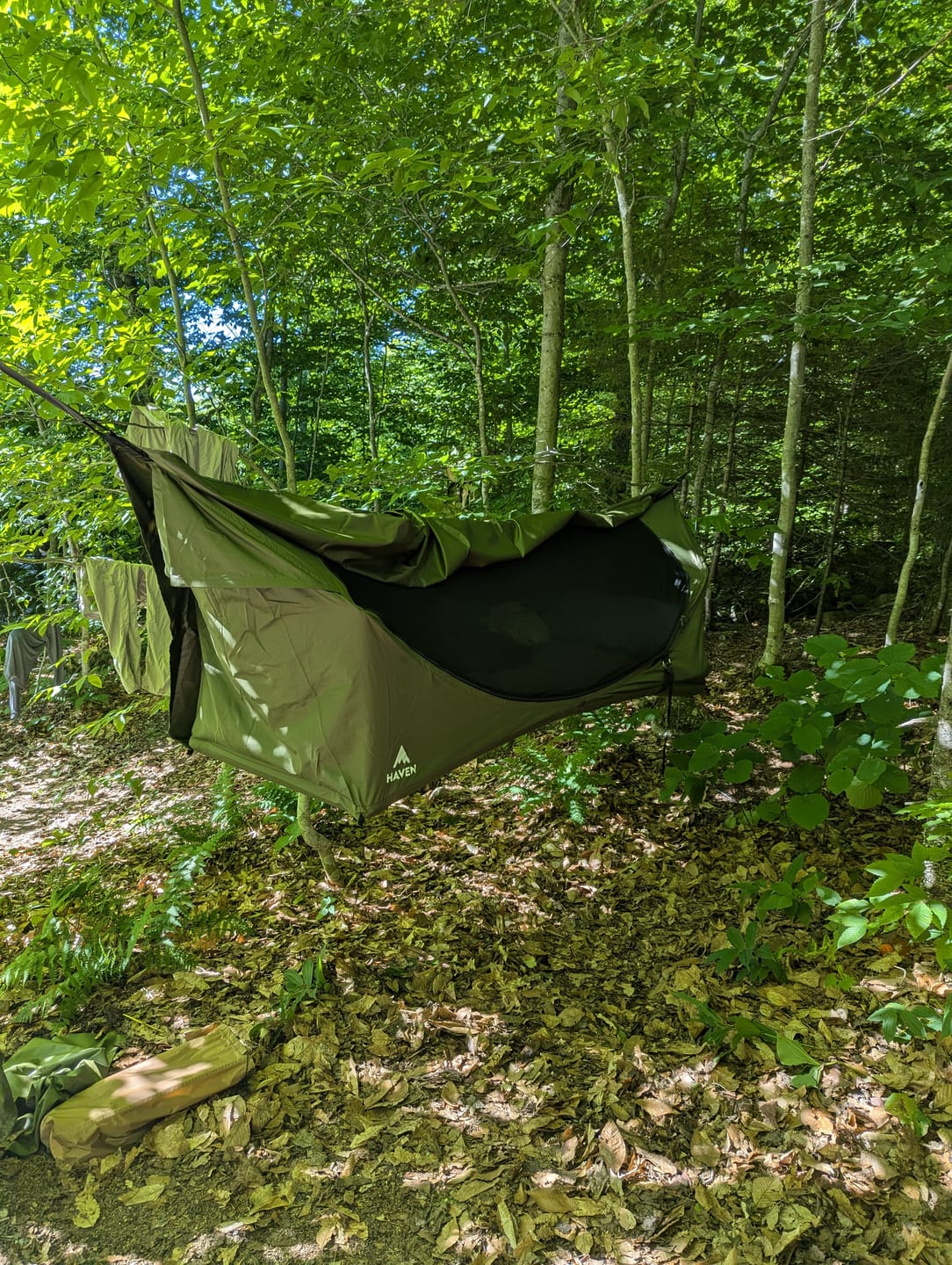 Customer photo review of Haven Safari