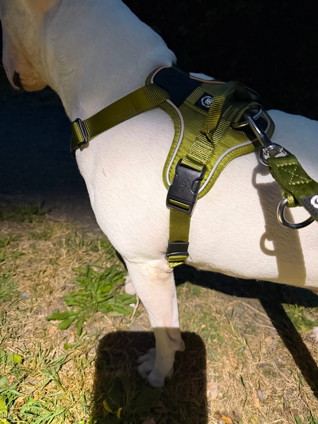 Customer photo review of Anti Pull Hurricane Harness Lighter | With Handle - Olive Green