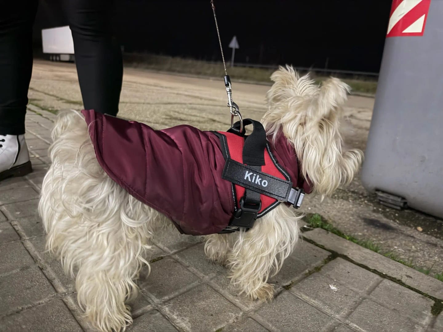 Customer photo review of Pettorina Regolabile Cane Sicura