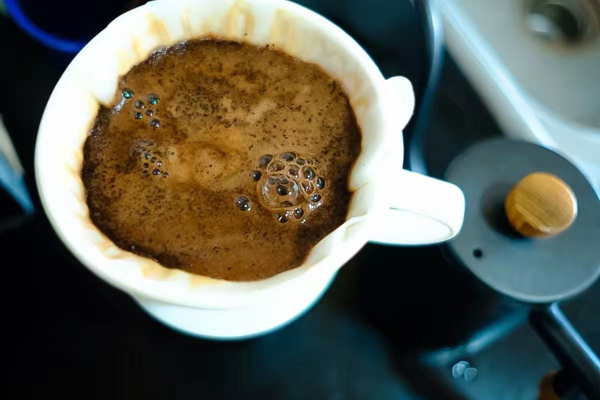 Customer photo review of Panama Geisha Single-Origin Coffee Beans | 12oz