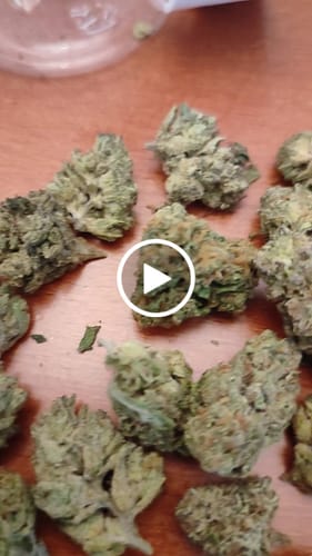 Customer video review of CALI MIX AAA+ – Premium Selection