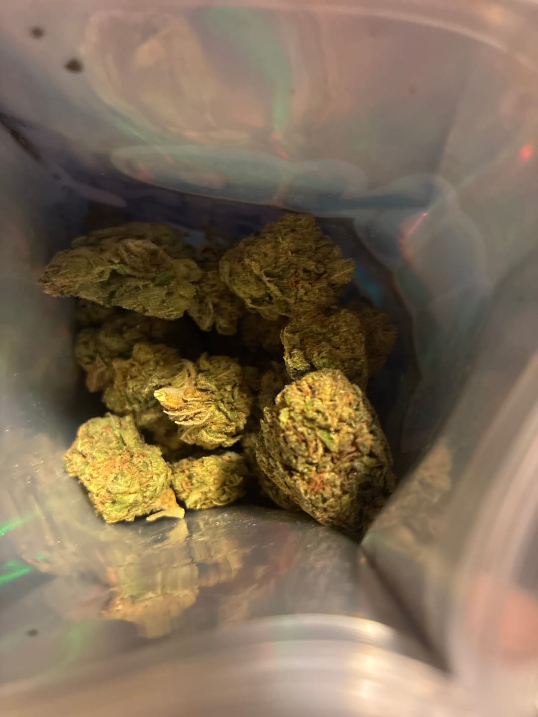 Customer photo review of Rainbow Sherbet - 28 Grams - Hybrid