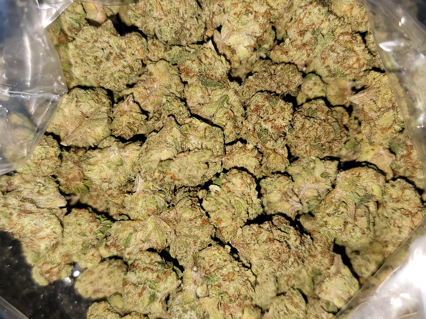 Customer photo review of Blueberry Muffins Minis - Bulk Minis - Indica