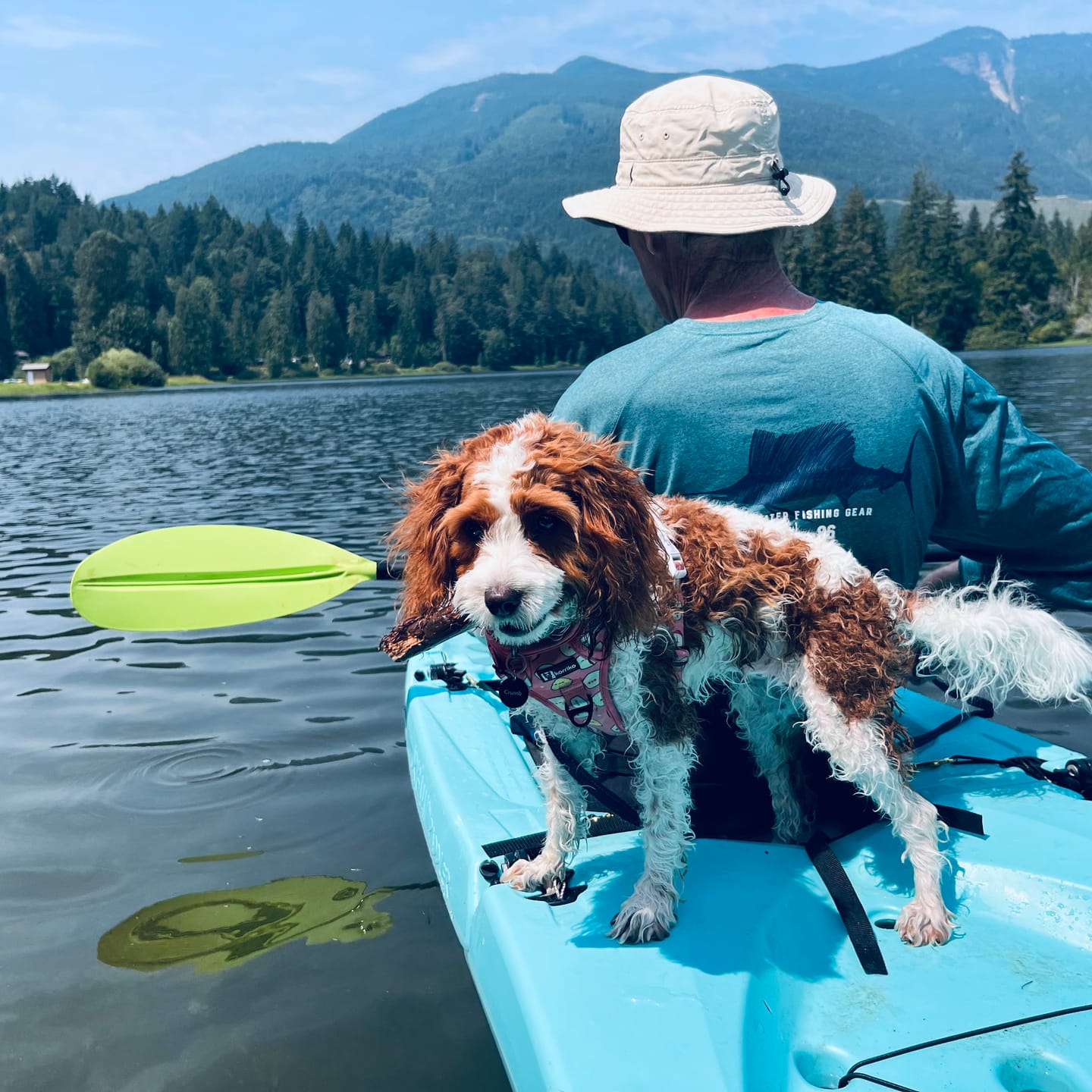 Customer photo review of 12 Inch Standard Braided Bully Stick