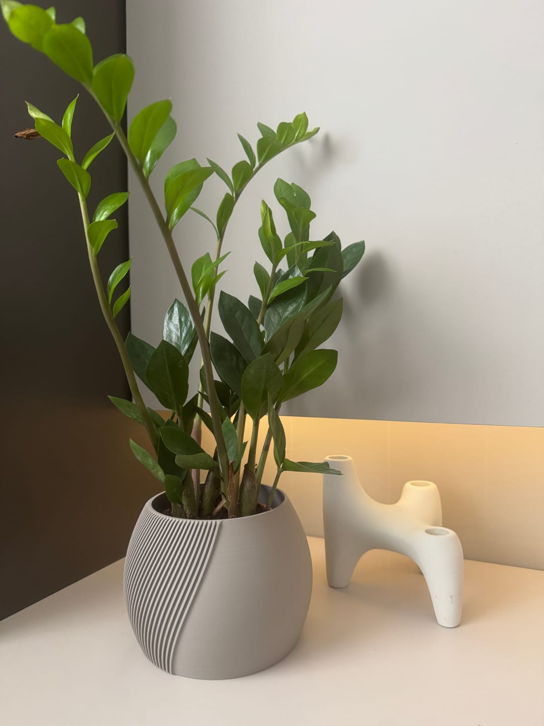 Customer photo review of Vaso Grassa Mezzaluna