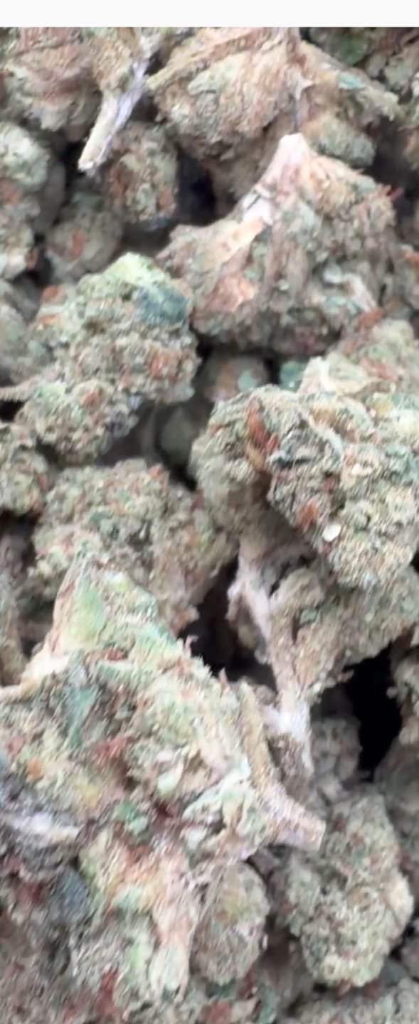 Customer photo review of LITTLES BRAND - Apple Banana - 28 Grams Littles - Hybrid