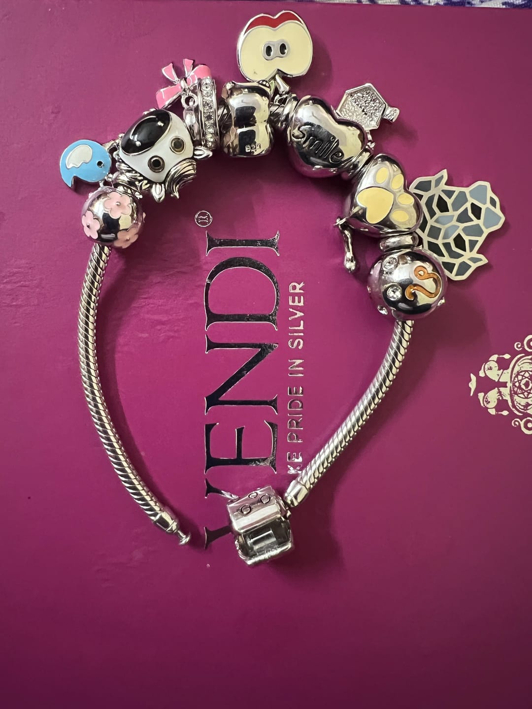 Customer photo review of Adjustable Charm Bracelet