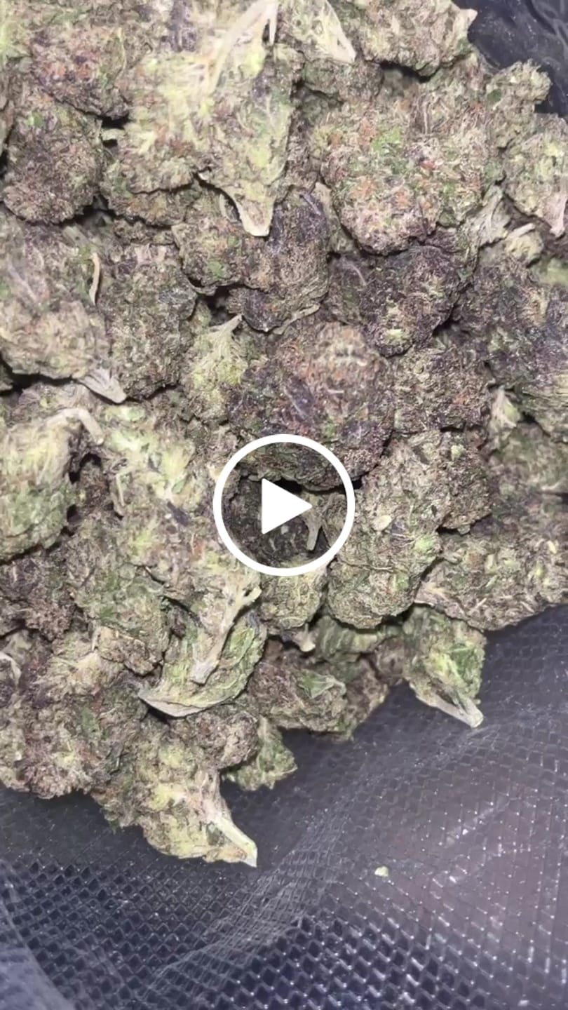 Customer video review of No6. Purple Cake THCa Shake (Wholesale)