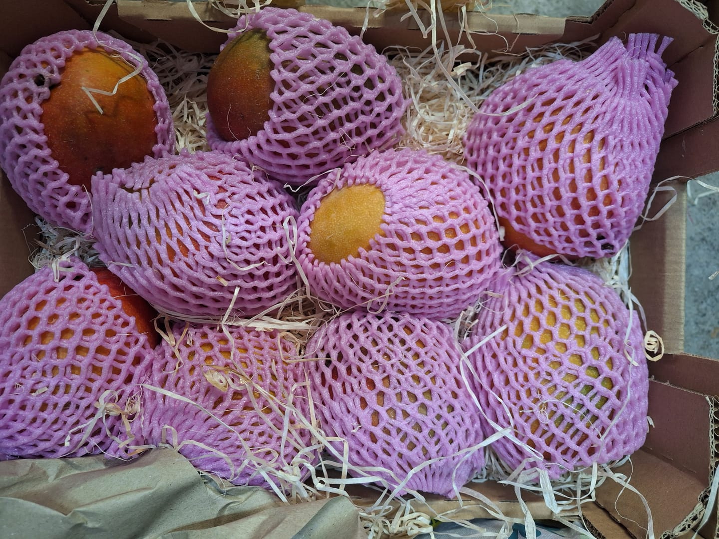 Customer photo review of Mango Kent Premium baumgereift