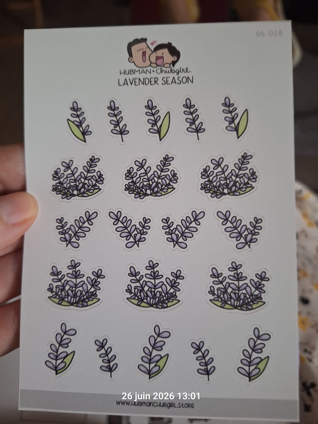 Customer photo review of Lavender Season Planner Stickers