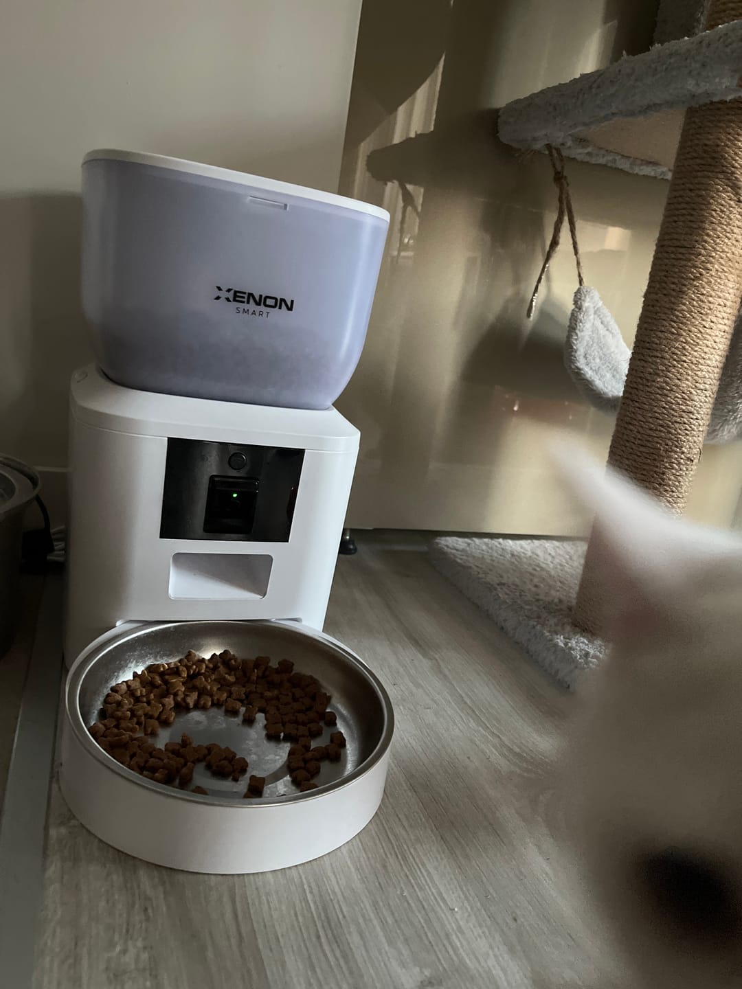 Customer photo review of Otomatik Kedi Mama Kabı (Kameralı) | Çelik Kaseli, Sesli, Wifi, Mobil Kontrol, Akıllı Mama Kabı (X8604)