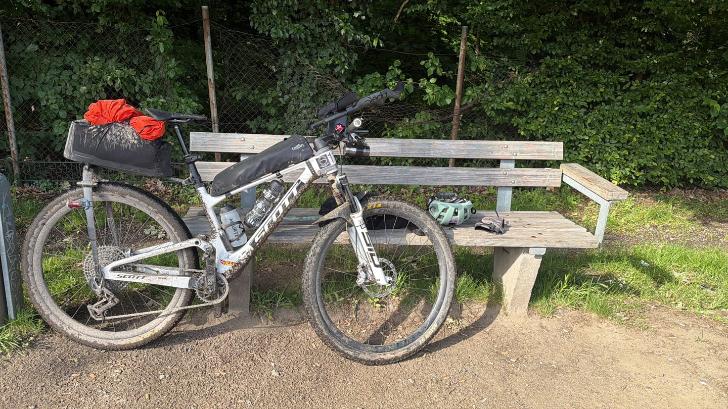 Customer photo review of MaXx-D 17