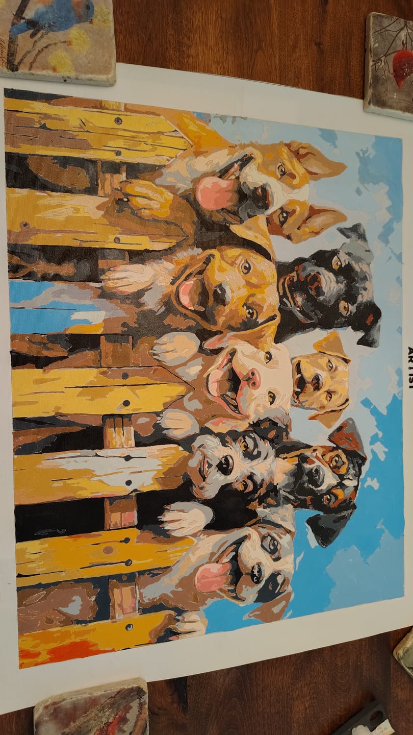 Customer photo review of Dog Days of Summer