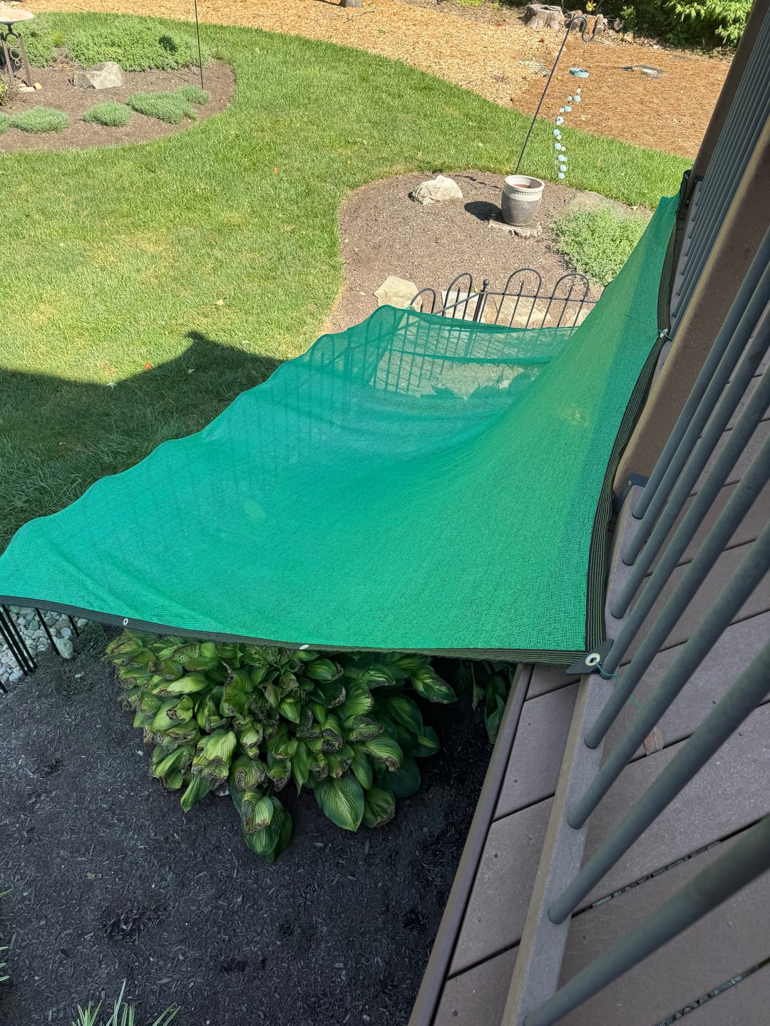 Customer photo review of 40% Shade Cloth