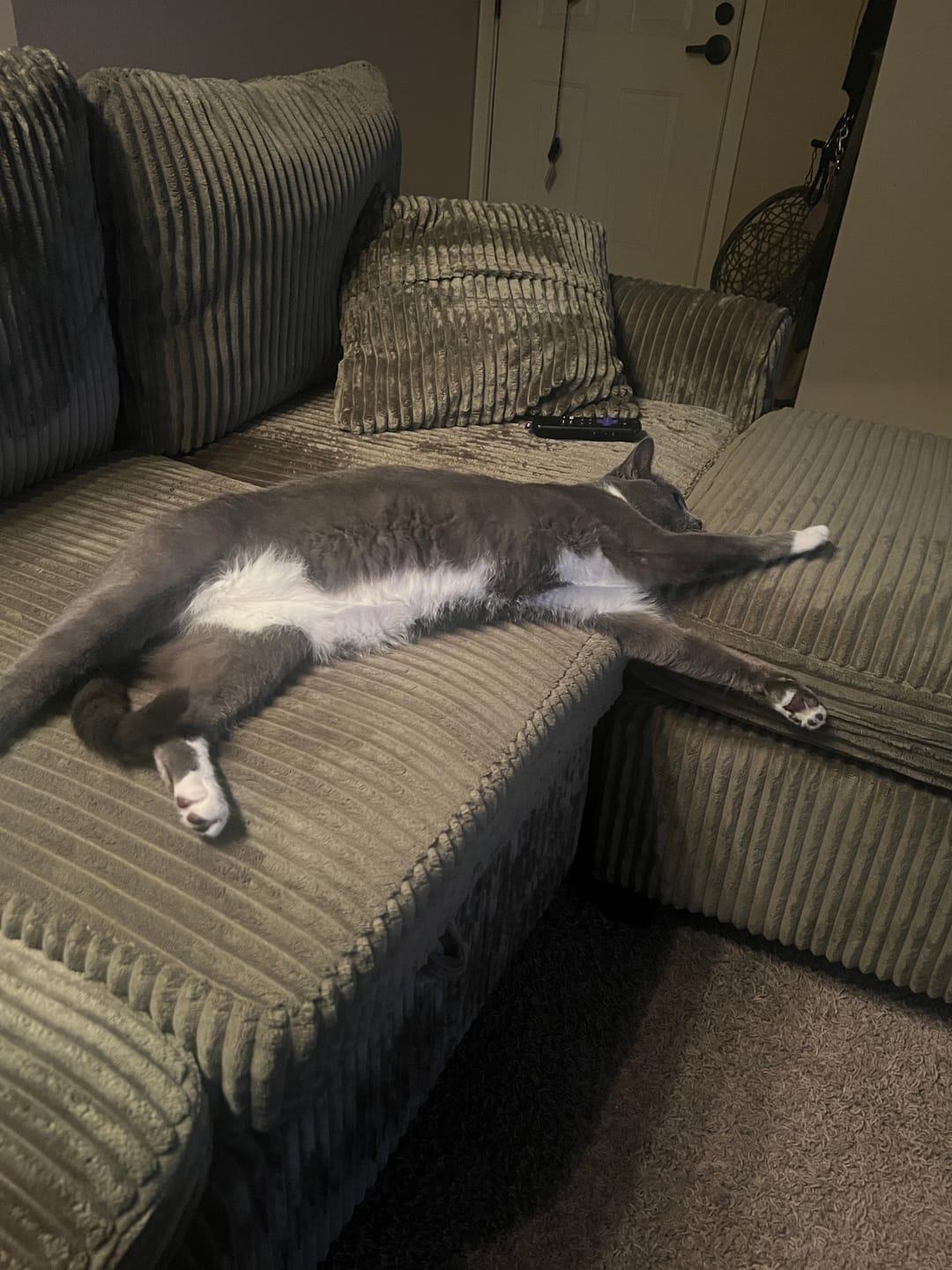 Customer photo review of Chenille Pull Out Sleeper Sofa with Storage Ottoman
