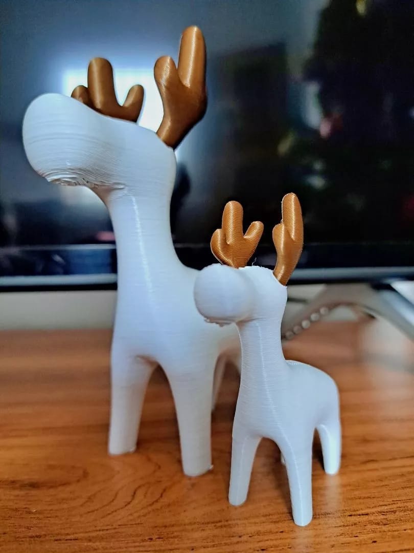 Customer photo review of Enfeite de Natal Kit de 2 Renas Minimalistas