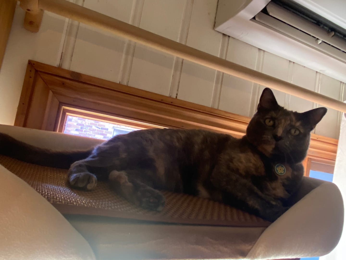 Customer photo review of Luxury Japanese-Style Cat Tree with Large Bed – 90906