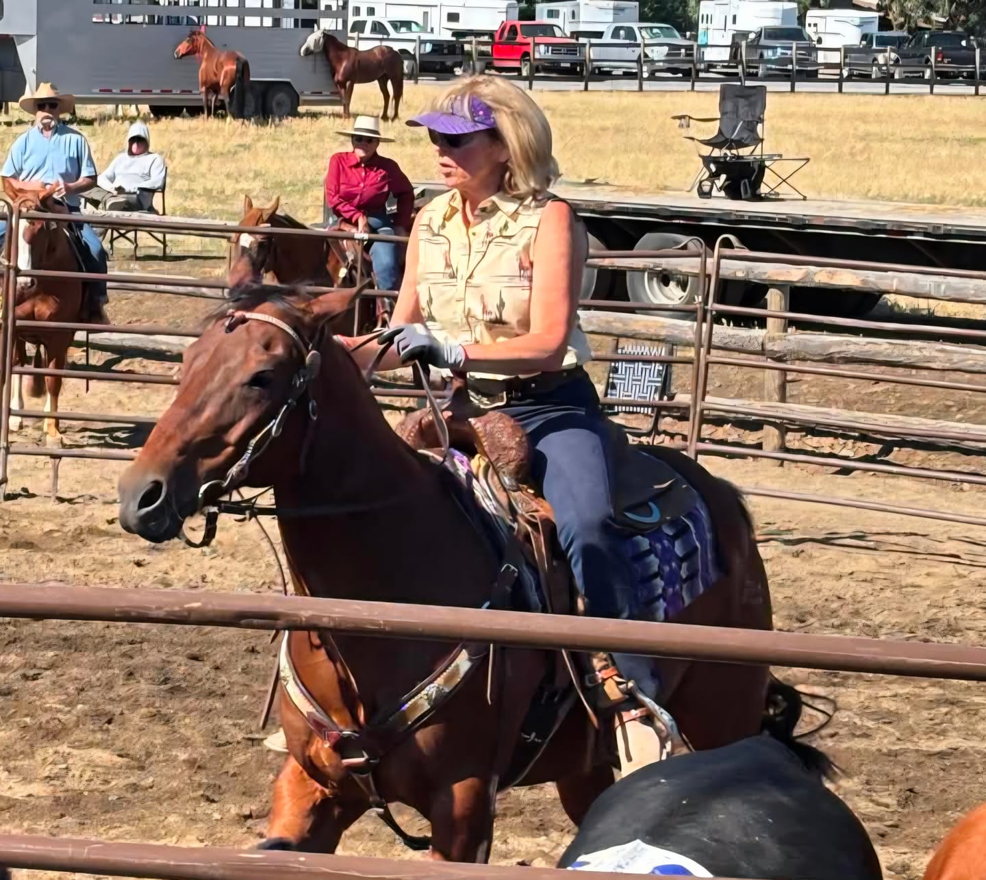 Customer photo review of OptiWize Collagen +Plus Horse Joint Supplement