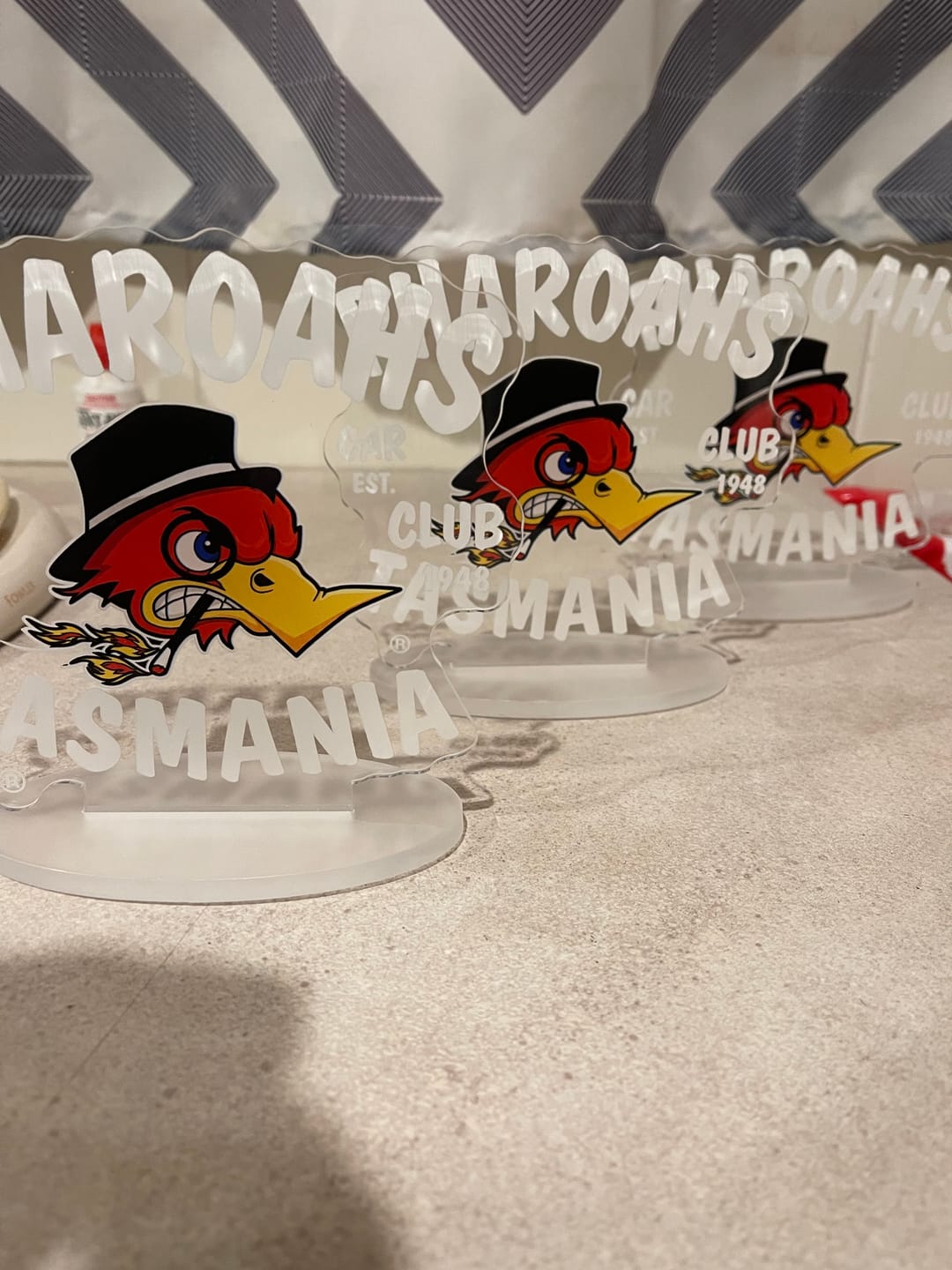 Customer photo review of 3 Tabletop Signs + 10 Keychains