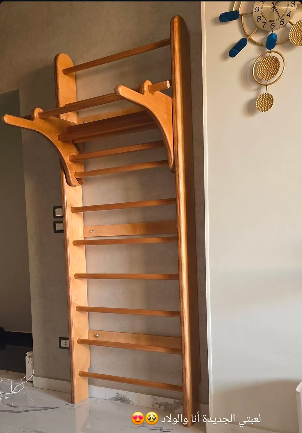 Customer photo review of Swedish Ladder Pro