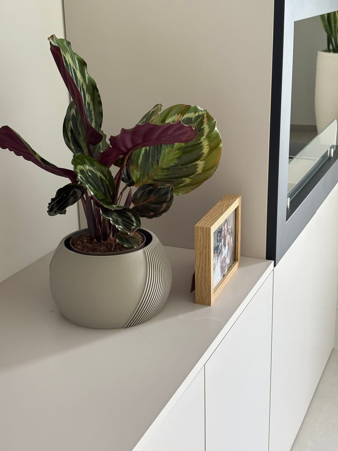 Customer photo review of Vaso Orchidea Mezzaluna