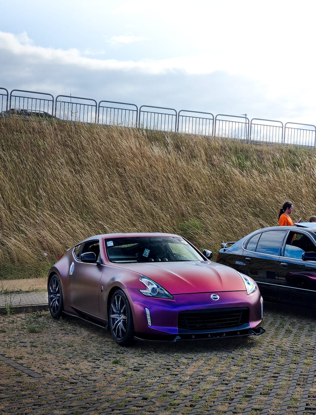Customer photo review of Matte Black Pinot Purple Self-Healing Film