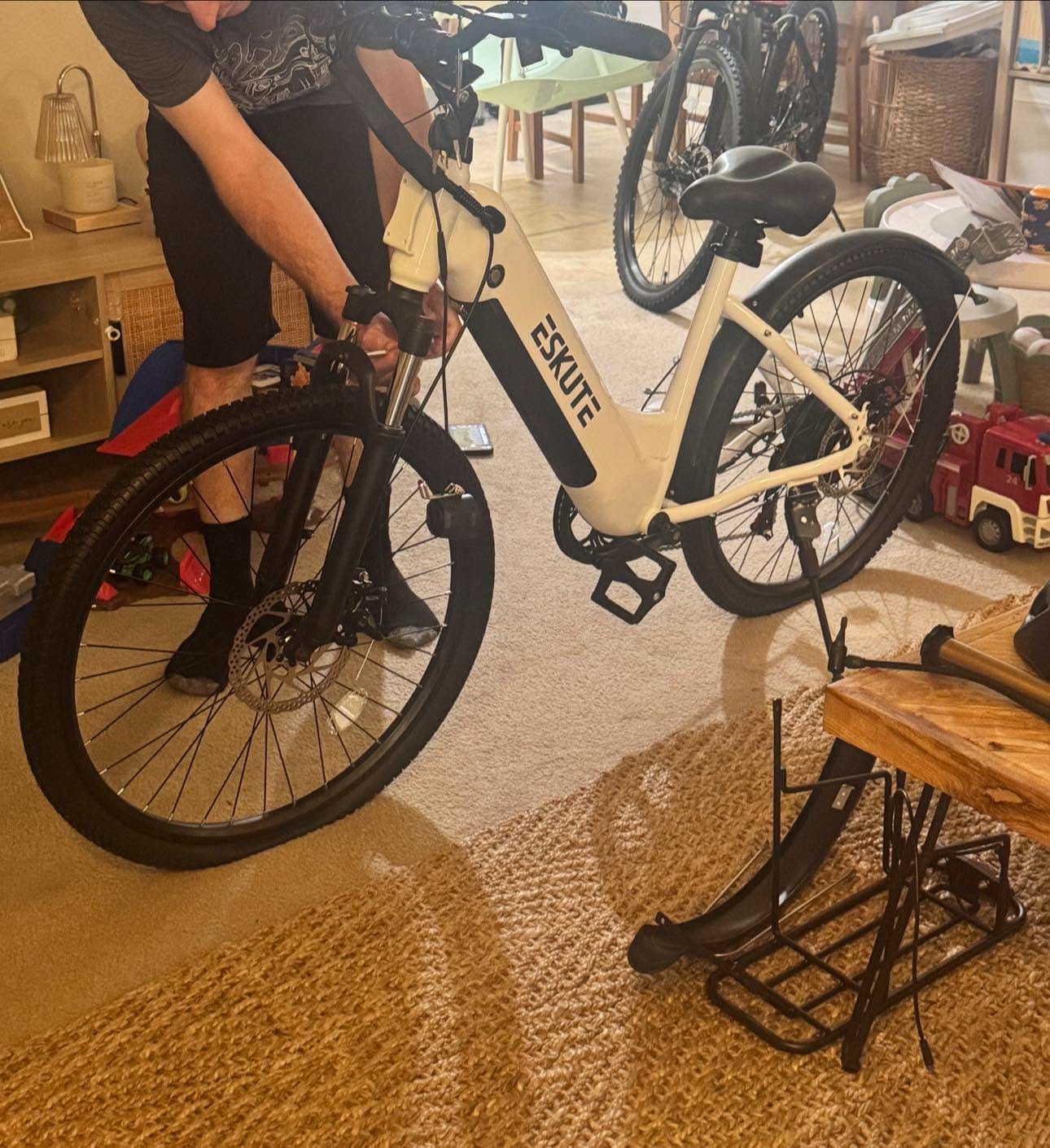 Customer photo review of Eskute C202 City E-Bike