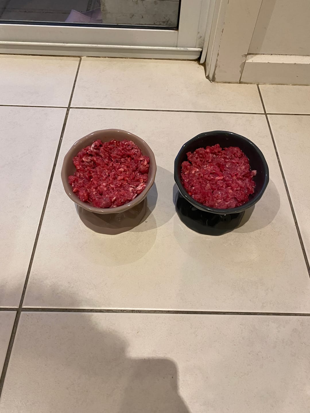 Customer photo review of Ceramic Raised Pet Bowl for Cats and Dogs