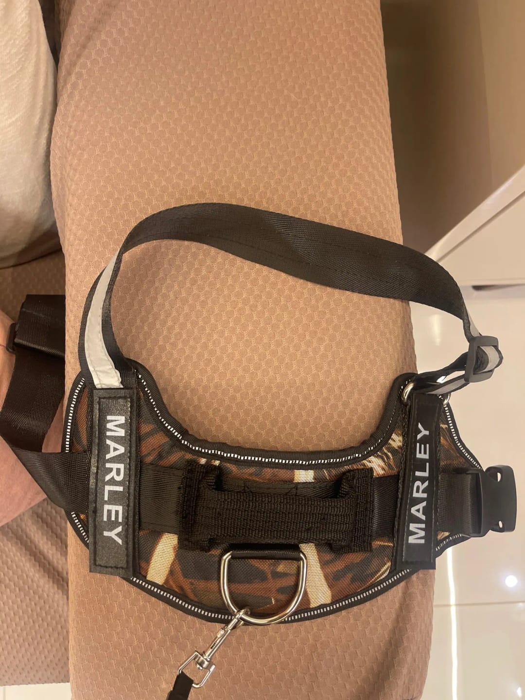 Customer photo review of Pettorina Regolabile Cane Sicura