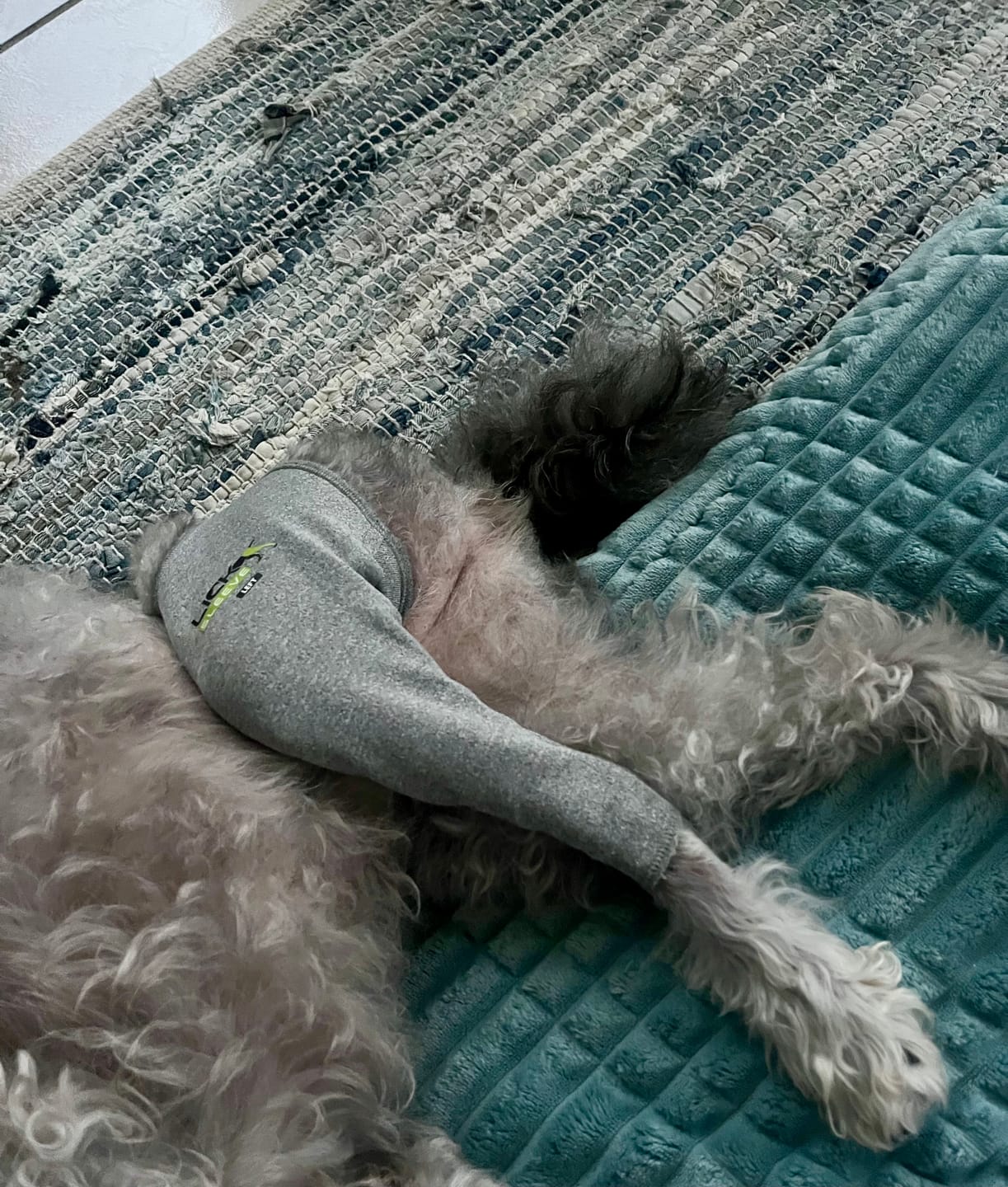 Customer photo review of Lick Sleeve® Leg Sleeve
