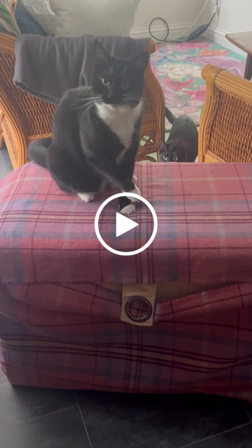 Customer video review of Tartan Wool Touch Fabric